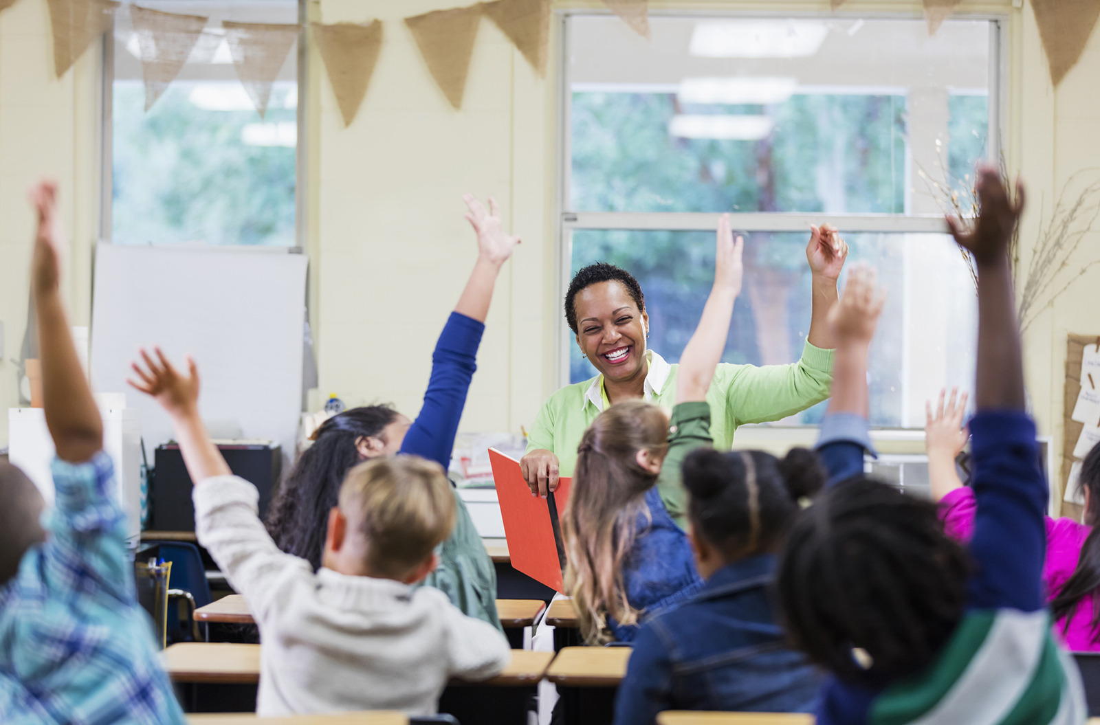 african-american-teacher